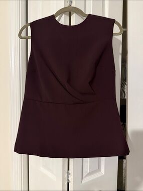Ann Taylor Petite Sleeveless Draped Top in Plum